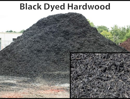 Black Dyed Hardwood