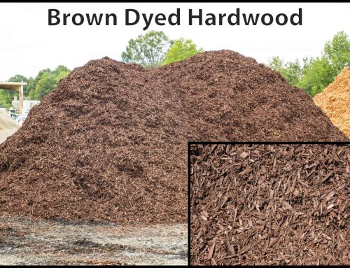 Brown Dyed Hardwood
