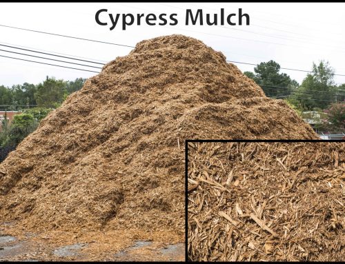 Cypress Mulch