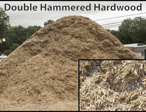 Double Hammered Hardwood