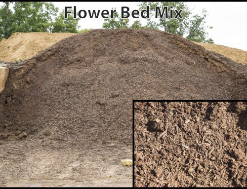 Flower Bed Mix