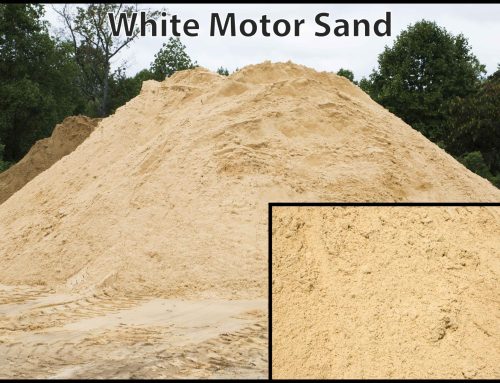 White Motor Sand